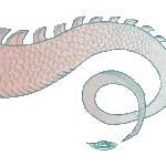 Dragon tale ilustration